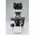 LED Binocular Biological Microscope with Upgrade Available